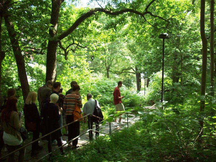 I skogen