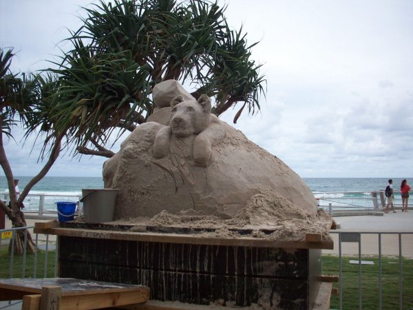Lejon i sand