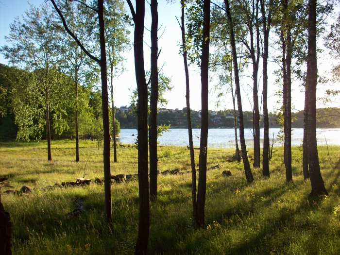 L�vskog